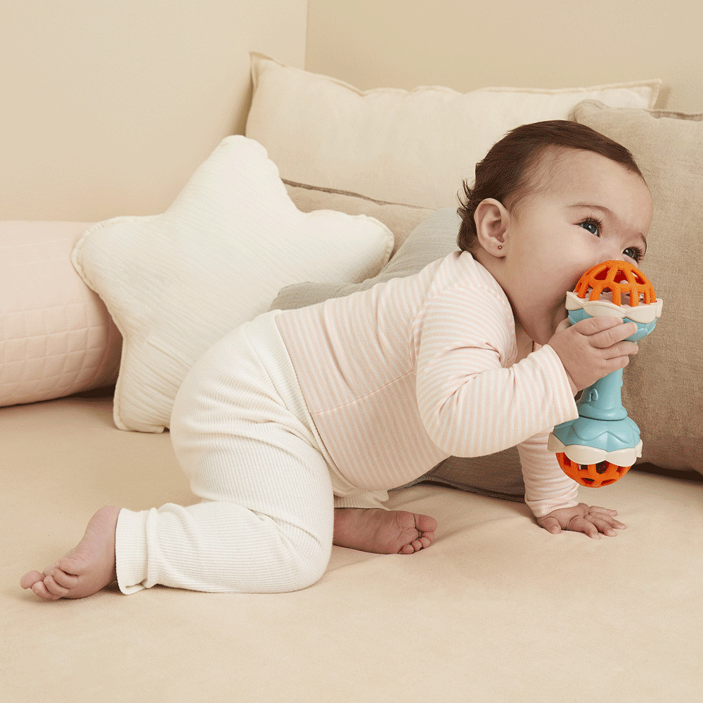 CHOCALHO E MORDEDOR SHAKE-SHAKE BUBA