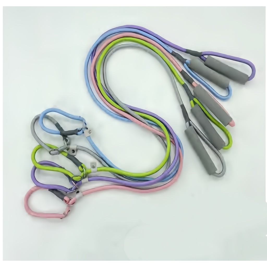 Guia de Adestramento Profissional: Onde Comprar | BuscaProdutos