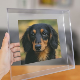 Quadro de Acrílico Transparente Moldura Caixa Premium Para Parede e Mesa em Oferta na Shopee
