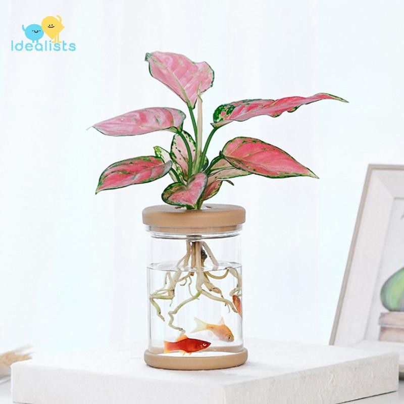 Idealistas Vaso De Flores Transparente Hidropônico Com Absorção Automática De Água De Plástico em Oferta na Shopee