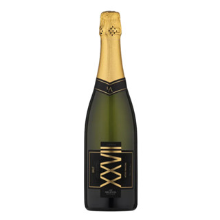 Espumante Luiz Argenta Brut Terroir XXVII 750ml em Oferta na Shopee
