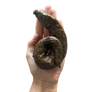 Cocô Fezes Falsa Brincadeira Pegadinha Trolagem Flôr do Pantano Risadas Cocô de Mentira em Oferta na Shopee