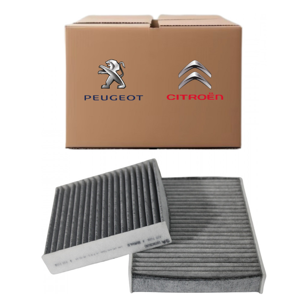 Filtro Ar-condicionado 208 2008 Peugeot 1609428180 em Oferta na Shopee
