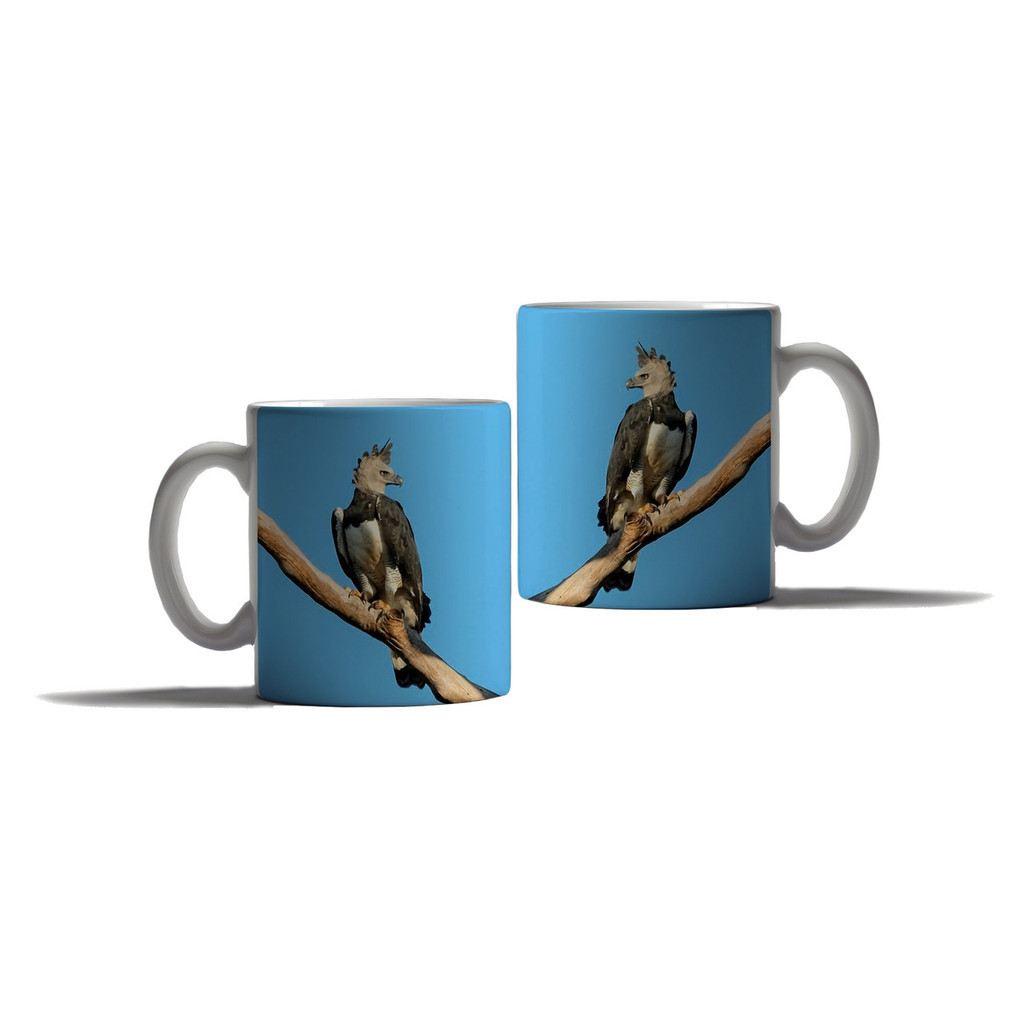 Caneca Personalizada Presente Gavião Ave Harpia Rapina