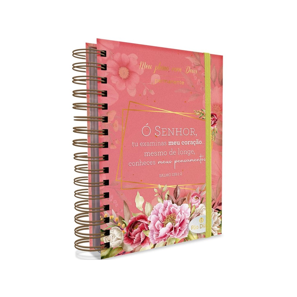 Meu Plano com Deus | Planner Devocional Capa Dura | Devocional | Intimidade - Books & Magazines