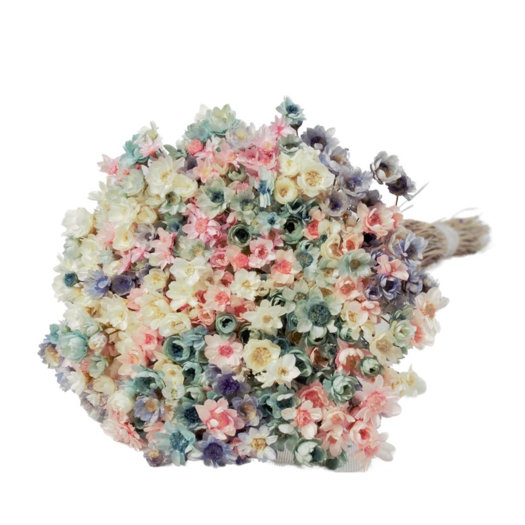 Planta Seca Sempre Viva Mix Cores Pastéis em Oferta na Shopee