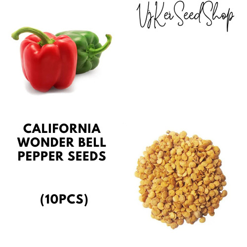 Sementes de Pimentão Bell California Wonder (10pcs)