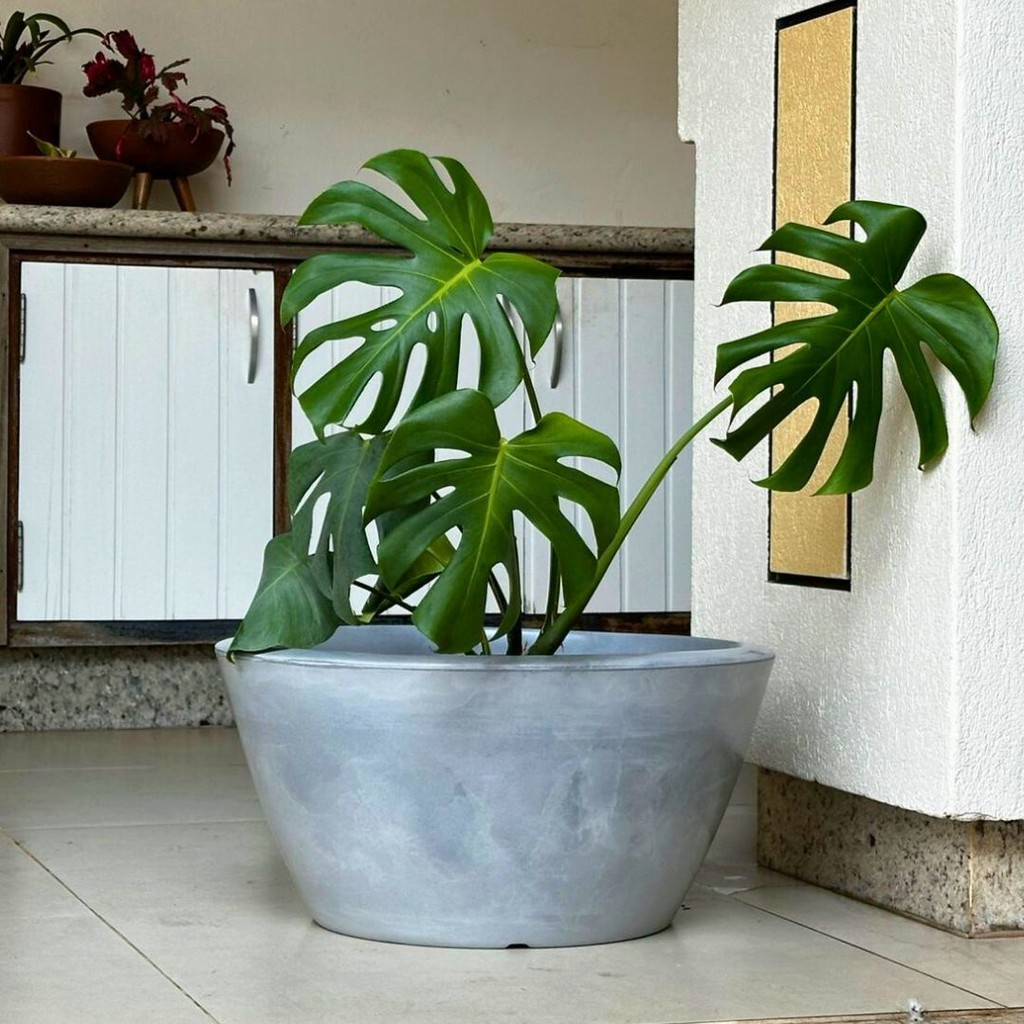 Vaso Bacia Para Planta Decoração Externa Pequim 52x28cm