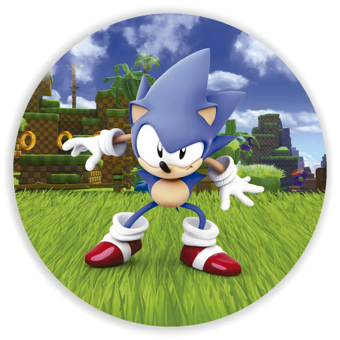 NOVO Painel Festa Infantil Redondo Sonic, sapato vermelho + Arco, Suporte incluso. Fazemos personalizado com qualquer tema. Confeccionado em Lona fosca, impressão de alta resolução. cenário , p/ Decoração