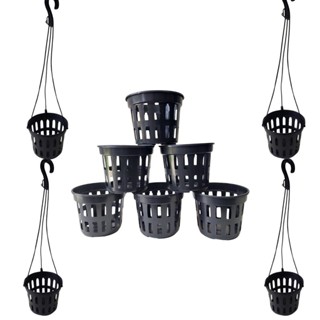 Kit 10 Vasos Vazados Para Plantas Orquídeas Pote 15 Com 10 Hastes Decoração Jardins em Oferta na Shopee