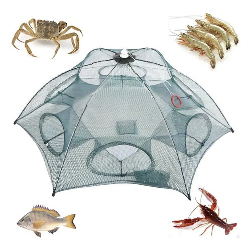 Armadilha para Piaba: Onde Comprar | BuscaProdutos