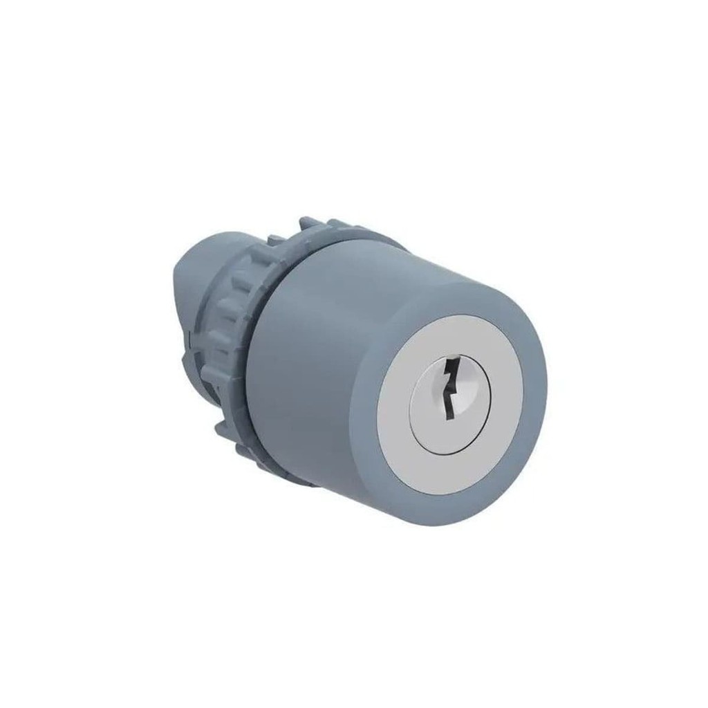 Chave Seletora 22mm 2 Posições Fixas 45° Com Chave Somente Frontal Weg