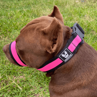 Nova Focinheira Ajustável E Confortável Para Cachorro Salu Pet Original em Oferta na Shopee