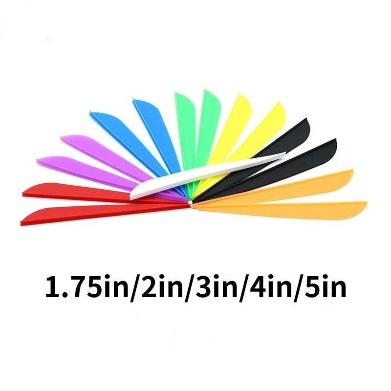 Vans Esportivo: Guia Completo e Onde Comprar | BuscaProdutos