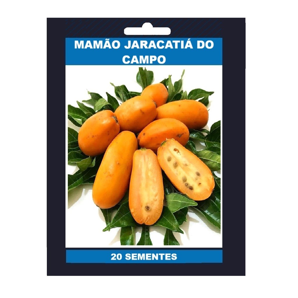 EXCLUSIVO 20 Sementes Rara De Mamão Jaracatiá Do Campo EXCLUSIVO