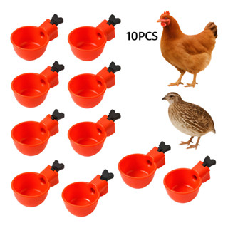 Bebedouro Automático Aves Galinha Codorna Copinho Vermelho em Oferta na Shopee