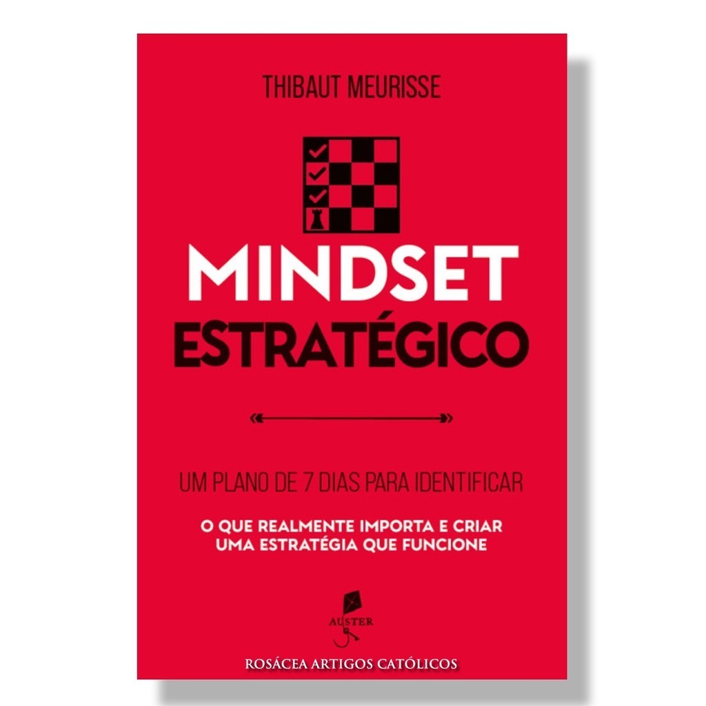 Livro Mindset estratégico : Um plano de 7 dias para identificar o que realmente importa e criar uma estratégia que funcione - Thibaut Meurisse