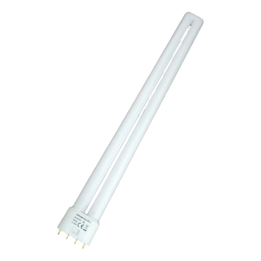 Lâmpada Dulux L 36W 865 4P 2G11 Compacta