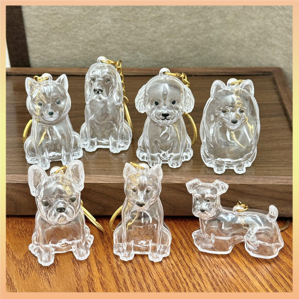 Pingente De Cápsula Transparente À Prova De Poeira , Chaveiro De Recipiente De Pele De Alta Qualidade , Bonito , Fofo , 