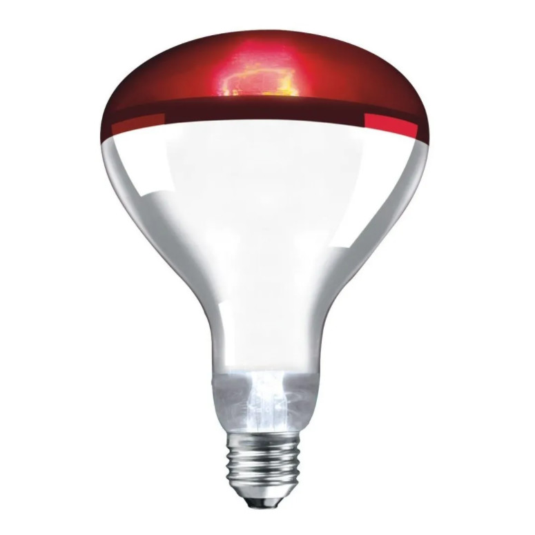 Lâmpada Infravermelha 250w 110v em Oferta na Shopee