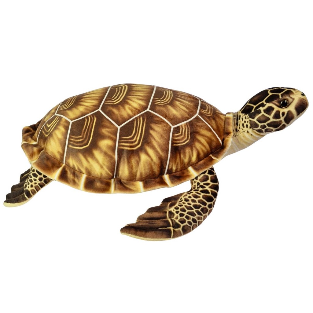Tartaruga de Pelúcia Marinha Grande 40cm Realista Macia em Oferta na Shopee