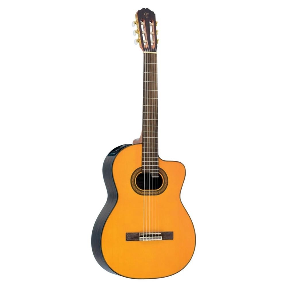 VIOLAO TAKAMINE GC6CE N & TP4T