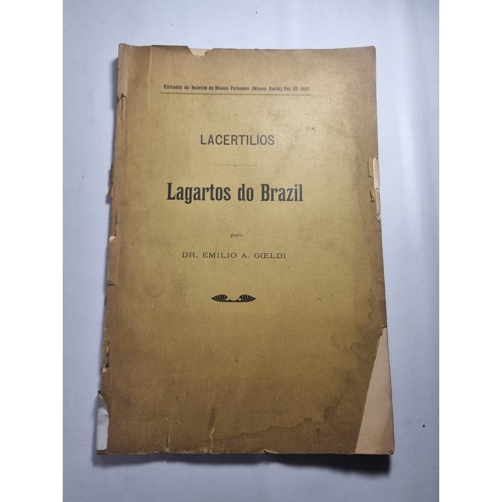 Lacertilios Lagartos do Brasil Extrato do Boletim do Museu Paraense Volume 3 1902