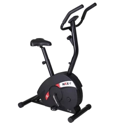 Bicicleta Magnética Ergométrica Vertical Academia Residencial Max V Dream Fitness