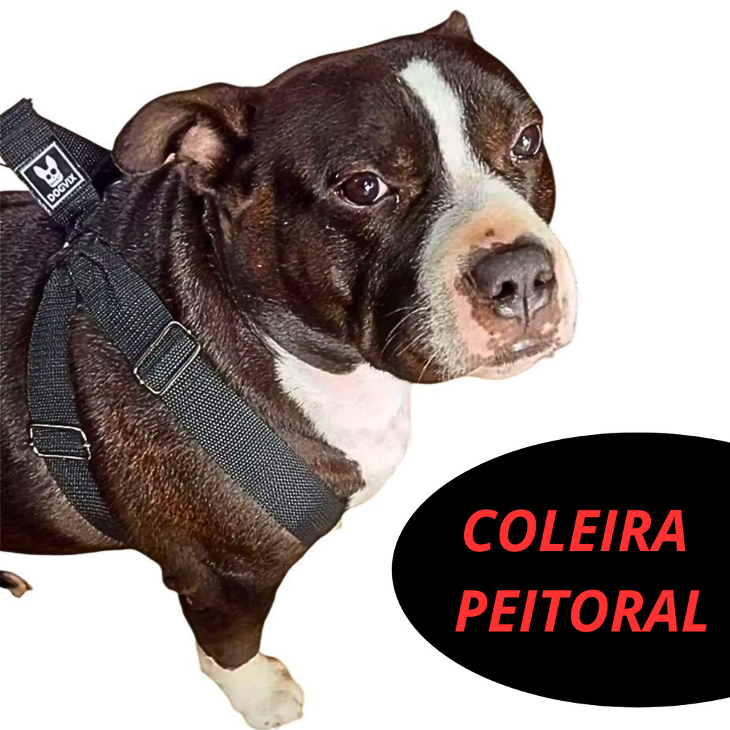 Guia mais Peitoral Ajustável Para Passeio Cães Forte Cachorro Porte Médio e Grande Pitbull