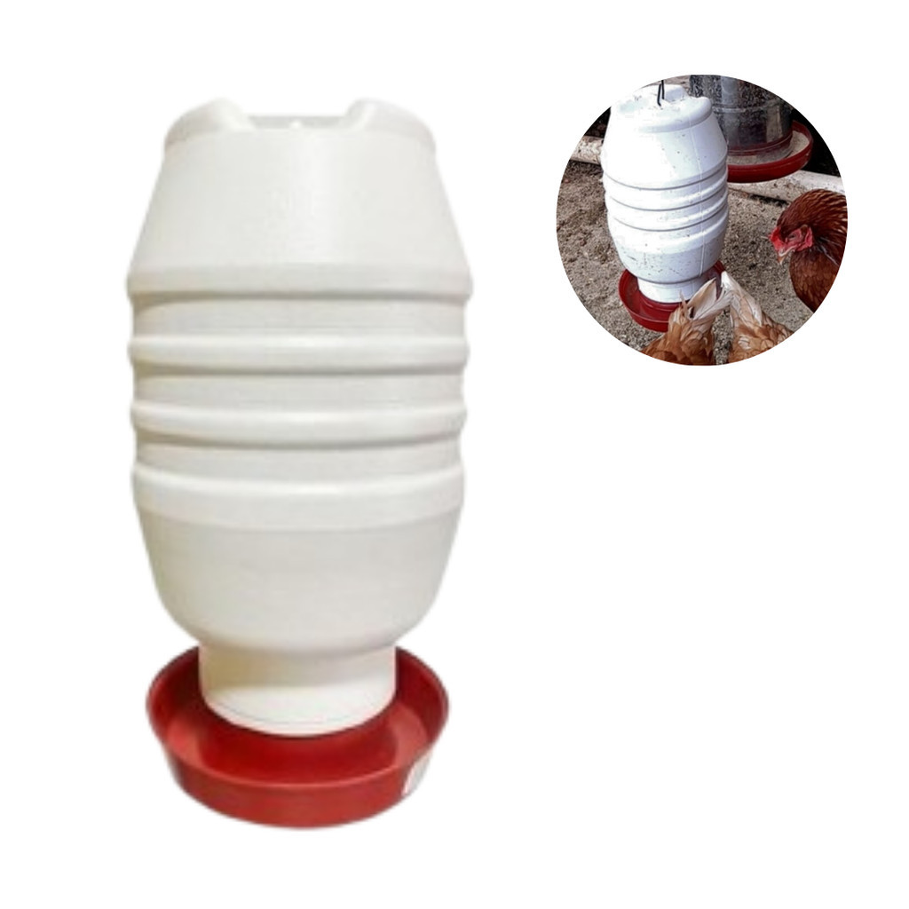 Bebedouro 5L Automático Frango Aves Galinha Codorna para Granja Galinheiro Viveiro