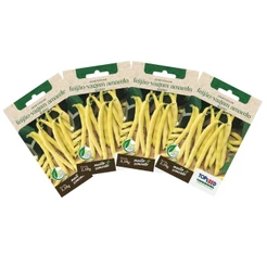 4X Sementes de Feijão Vagem Rasteiro Amarelo Baixo TOPSEED