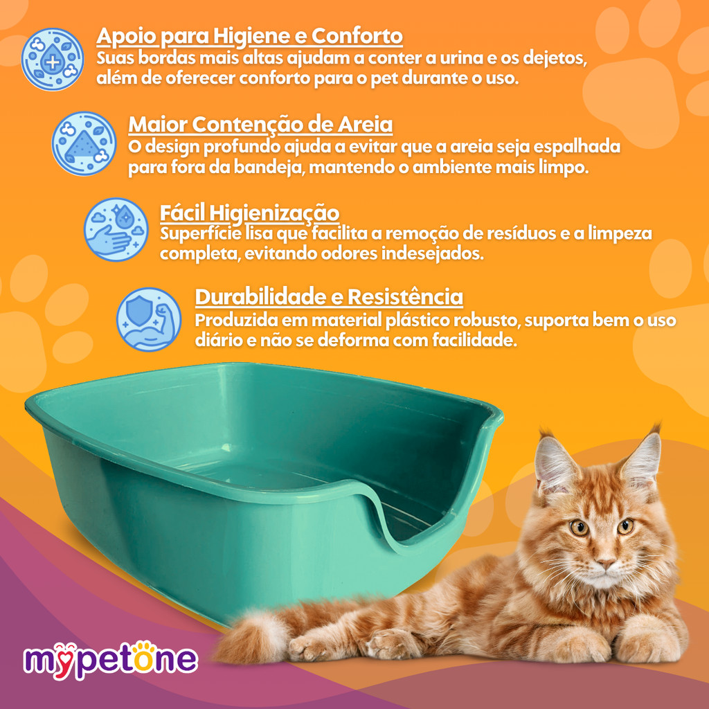 Detalhes do Caixa De Areia Gigante Para Gatos Alvorada Pet - Verde Água