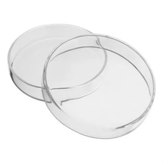 Placa De Petri 150x20mm -esp em Oferta na Shopee