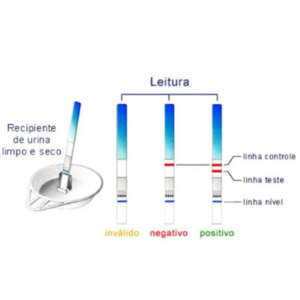 Kit com 6 Teste de Gravidez Gravtest Easy Cimed 99,9% Precisão