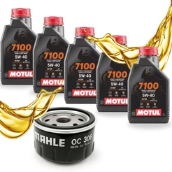 Troca de Óleo P/ Bmw R 1200 Gs / R 1200 R / S 1000 RR Motul 7100 5w40 + FIltro