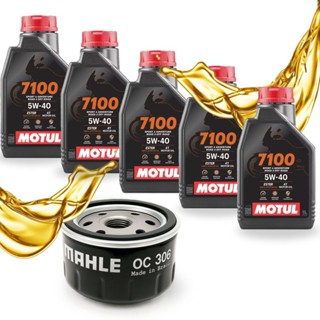 Troca de Óleo P/ Bmw R 1200 Gs / R 1200 R / S 1000 RR Motul 7100 5w40 + FIltro em Oferta na Shopee