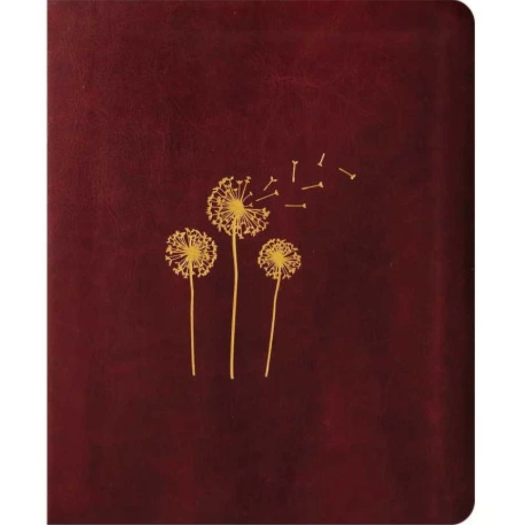 Bíblia Sagrada Mulheres | Viviane Martinello | NAA | Espaço para Anotações | Capa Luxo Sopro Divino