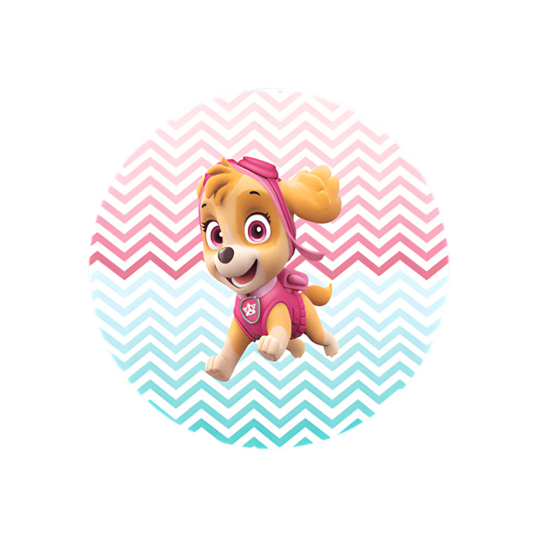 NOVO Painel Festa Infantil Redondo Skye Patrulha Canina Fundo Azul e Rosa Geométrico + Arco, Suporte incluso. Fazemos personalizado com qualquer tema. Confeccionado em Lona fosca, impressão de alta resolução. cenário , p/ Decoração