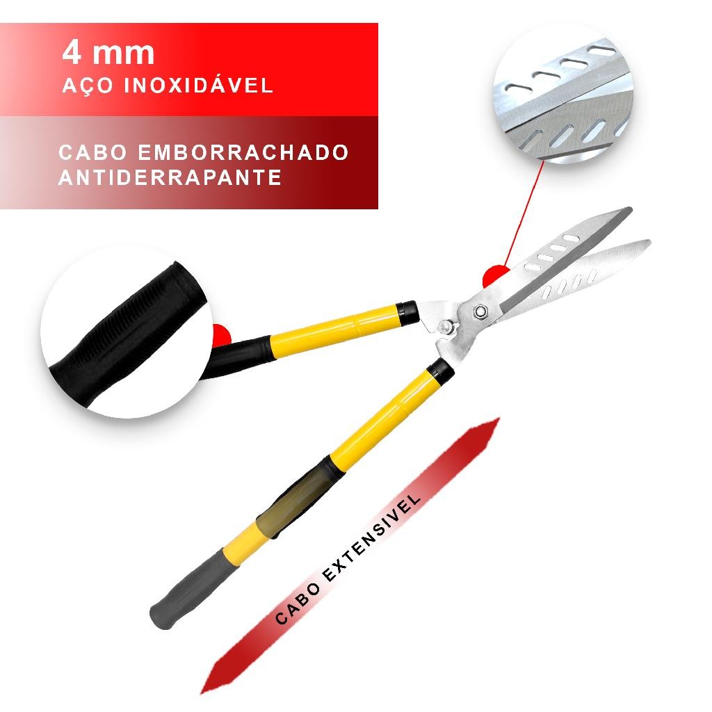 Arbustos para Cerca Viva: Onde Comprar | BuscaProdutos