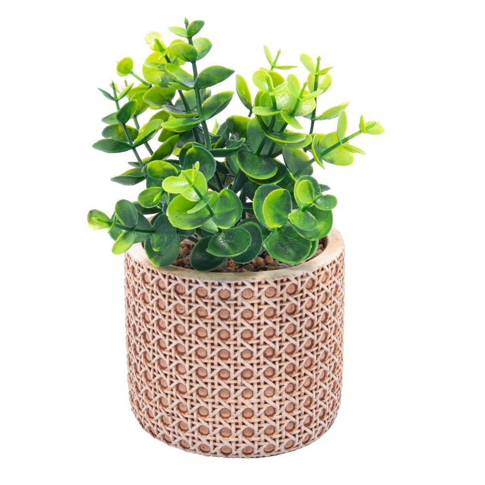 Cachepot Wolff de Cerâmica com Suculenta Treliça 10cm x 10cm em Oferta na Shopee