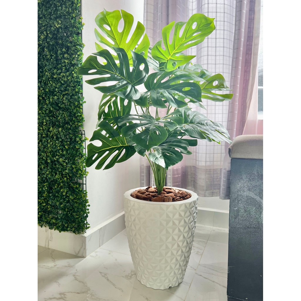 Costela De Adão Artifical + Vaso Polietileno Completo Cores