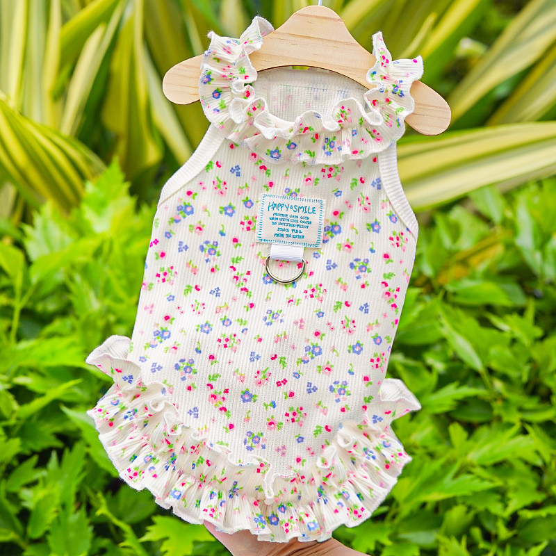 Cão Bichon Frise: Onde Comprar | BuscaProdutos