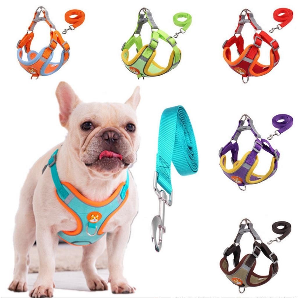 Coleira Peitoral Cachorro e Gato, conjunto de guia + coleira tipo colete para pet pequenos e médios Várias Cores em Oferta na Shopee