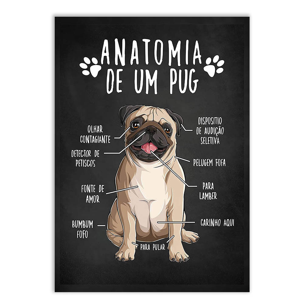 Placa Decorativa Engraçada Cachorro Anatomia Raça Pug