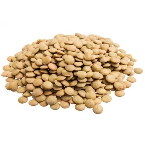 Lentilha Canadense - 500g