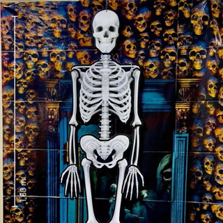 DECORAÇÃO DE PENDURAR ESQUELETO HALLOWEEN 1,60m REGINA em Oferta na Shopee