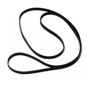 Correia Toca Disco 18 20 23 27 30 32 Cm Dobrada em Oferta na Shopee