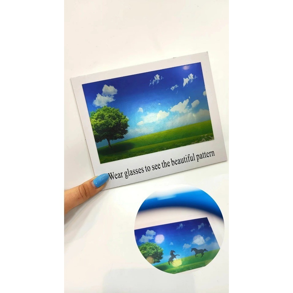 Teste Cartäo De Verificacäo para Oculos De Sol Polarizado14x17 cm-BR