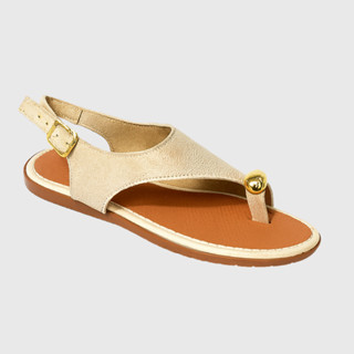 Sandália Feminina Dedo Rasteirinha Detalhe Dourado Confortável Casual Estilosa Raquel em Oferta na Shopee