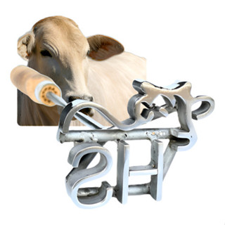 Ferro Marcar Gado/cavalo Em Aço Inox- Boi + Sua Iniciais em Oferta na Shopee